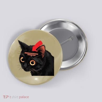 Full Of Paranoid Delusions And Violent Funny Meme Cat Button