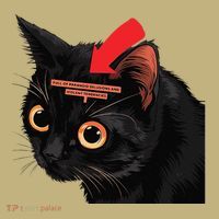 Full Of Paranoid Delusions And Violent Funny Meme Cat Button thumb 1