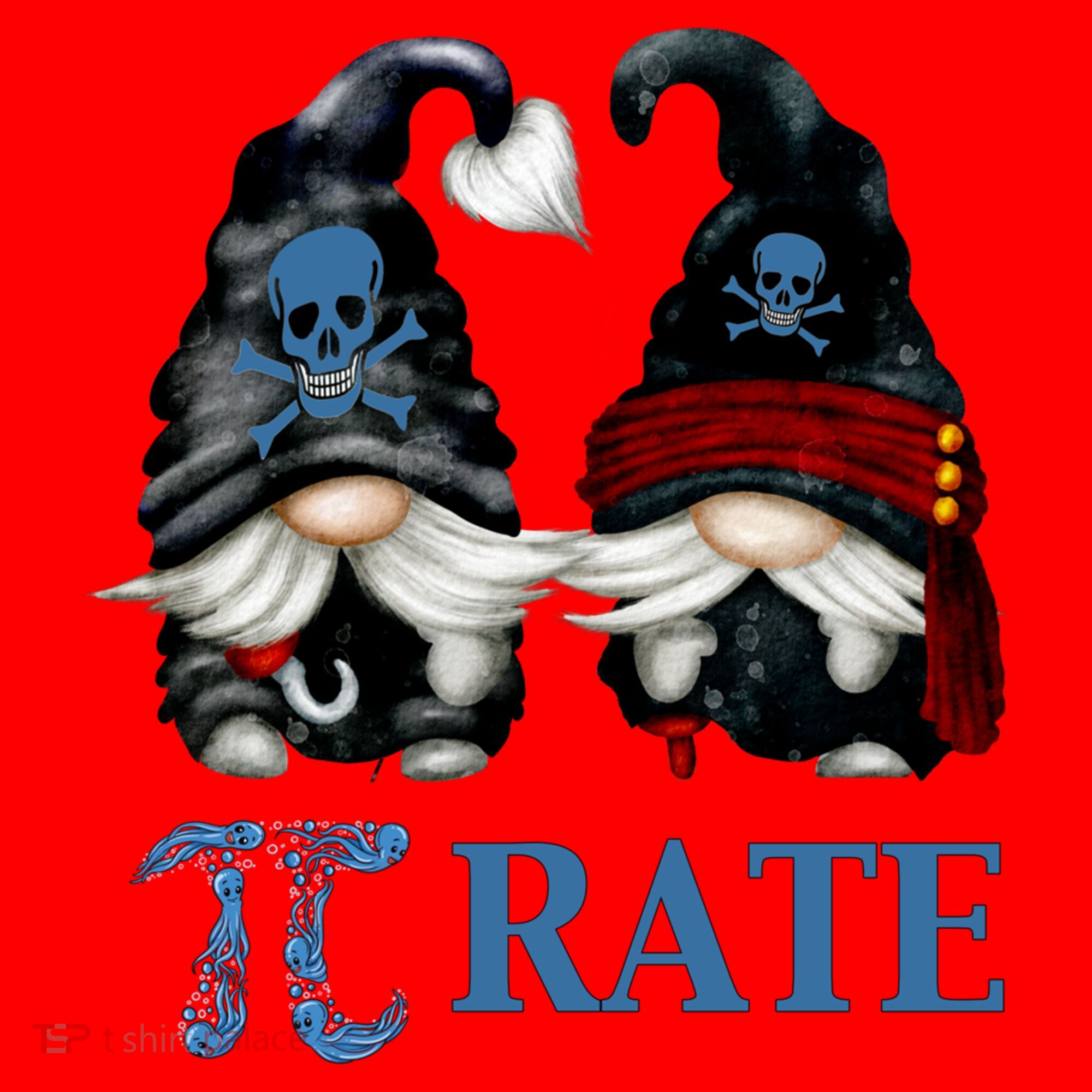 Funny Octopus Pi Day Symbol For Math Teacher Pirate Gnome Meaningful Gift Santa Hat
