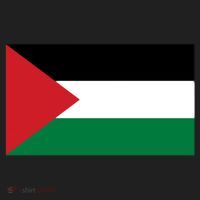 Flag Of Palestine Beanie thumb 2