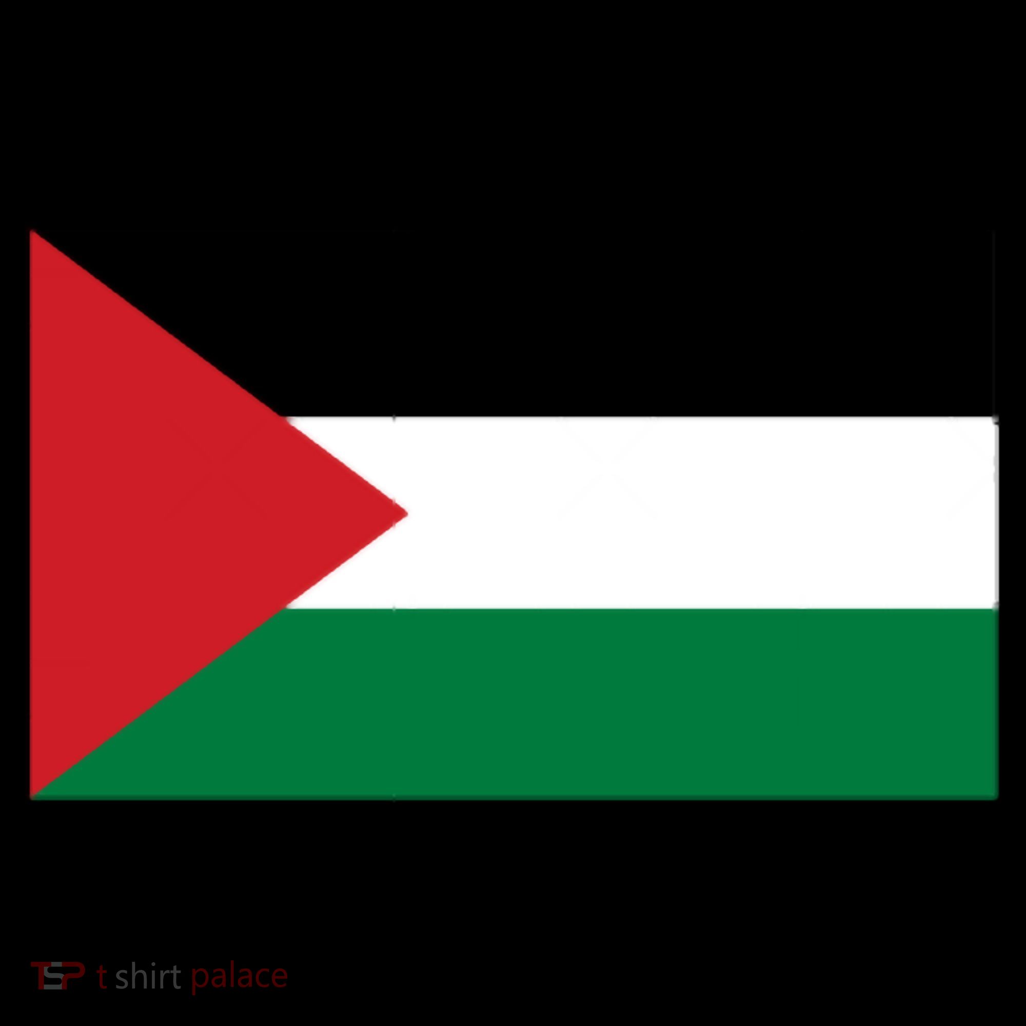 Flag Of Palestine Baby Bodysuit
