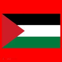 Flag Of Palestine Santa Hat thumb 1