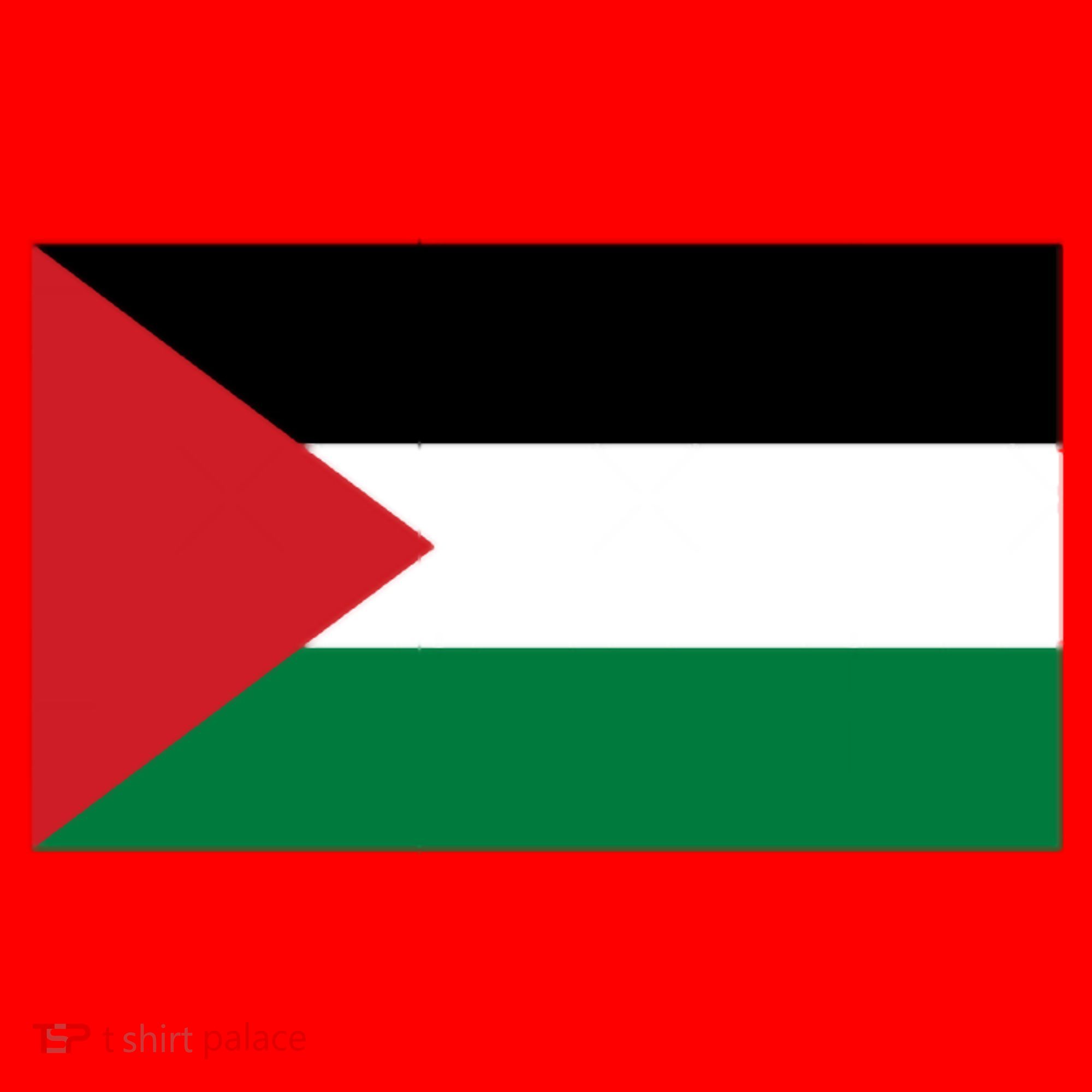 Flag Of Palestine Santa Hat