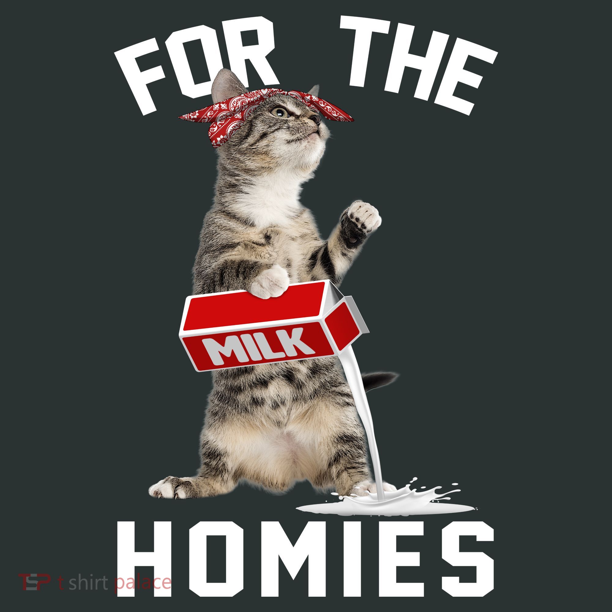 For The Homies Gangsta Cat T-Shirt