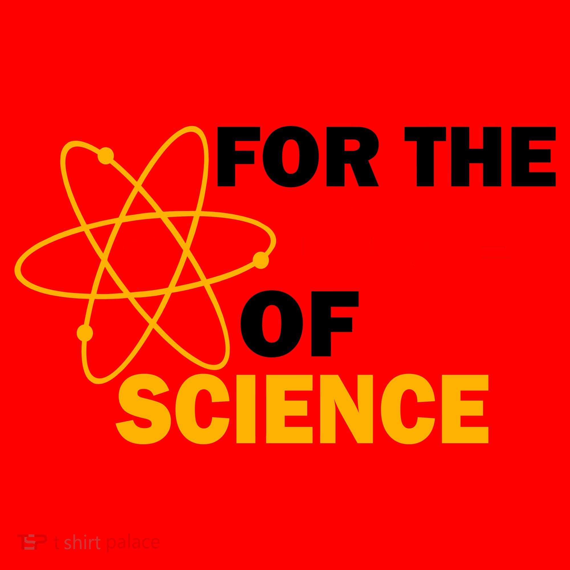 For The Love Of Science Santa Hat