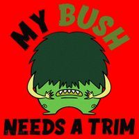 Funny Offensive Rude Novelty My Bush Needs A Trim Hairstyle Santa Hat thumb 1