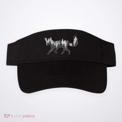 Visor