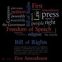 Freedom Of Speech 1st Amendment Women's Hoodie thumb 2
