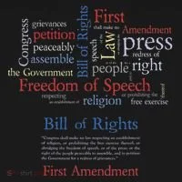 Freedom Of Speech 1st Amendment Toddler Hoodie thumb 2