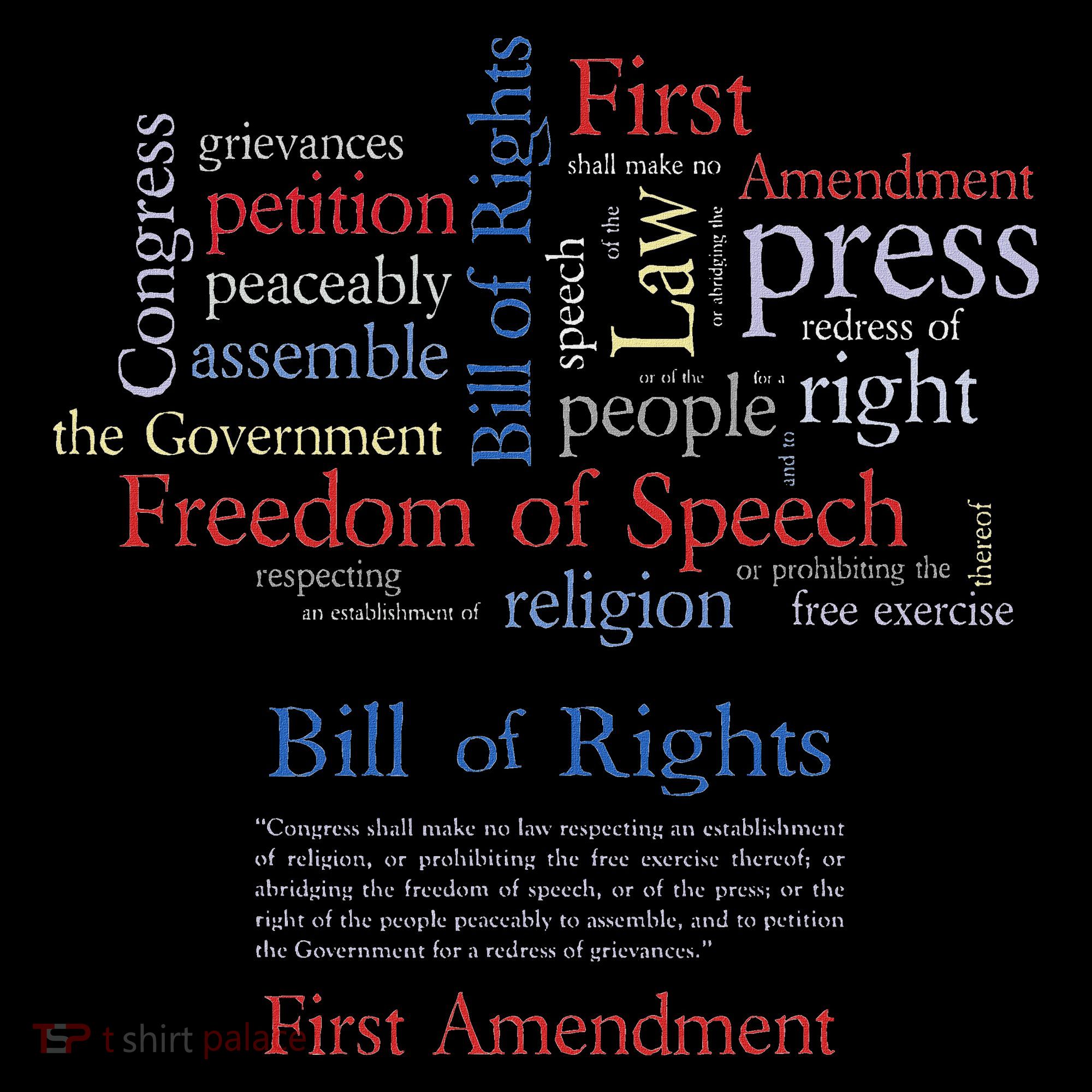 Freedom Of Speech 1st Amendment Women's T-Shirt
