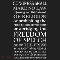 Freedom Of Speech American Bill Of Rights Gift Beanie thumb 2