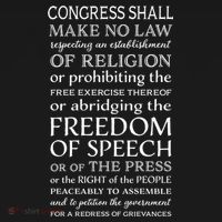 Freedom Of Speech American Bill Of Rights Gift Ornament thumb 1