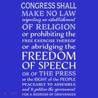 Freedom Of Speech American Bill Of Rights Gift Mousepad thumb 1