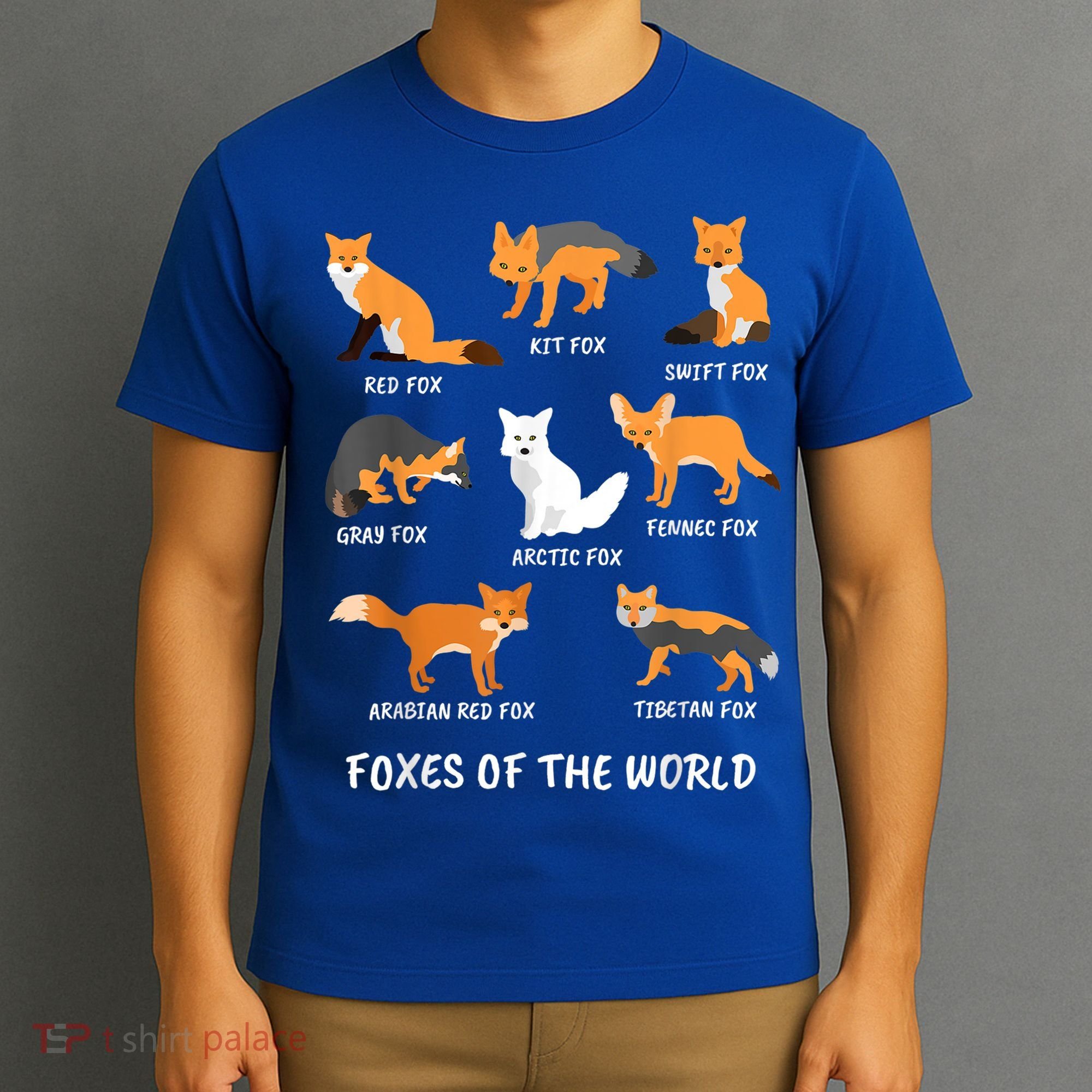 Foxes Of The World Fox Lover Gift T-Shirt