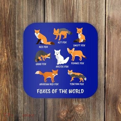 Foxes Of The World Fox Lover Gift Coaster