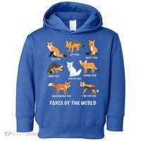 Foxes Of The World Fox Lover Gift Toddler Hoodie thumb 0