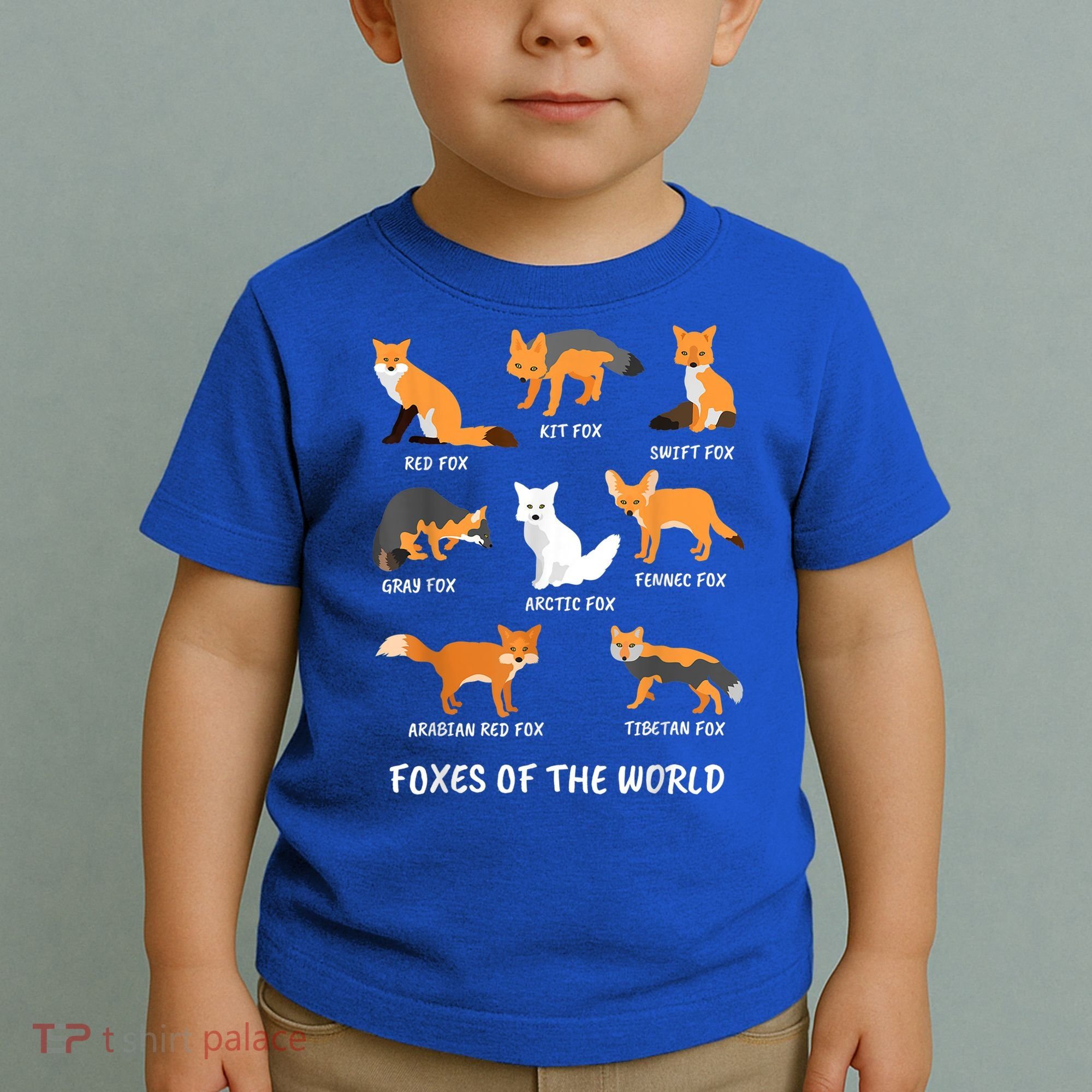 Foxes Of The World Fox Lover Gift Toddler T-Shirt