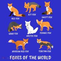 Foxes Of The World Fox Lover Gift Toddler T-Shirt thumb 4
