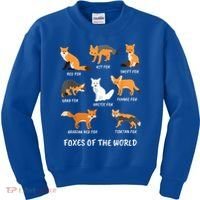 Foxes Of The World Fox Lover Gift Kids Sweatshirt thumb 0