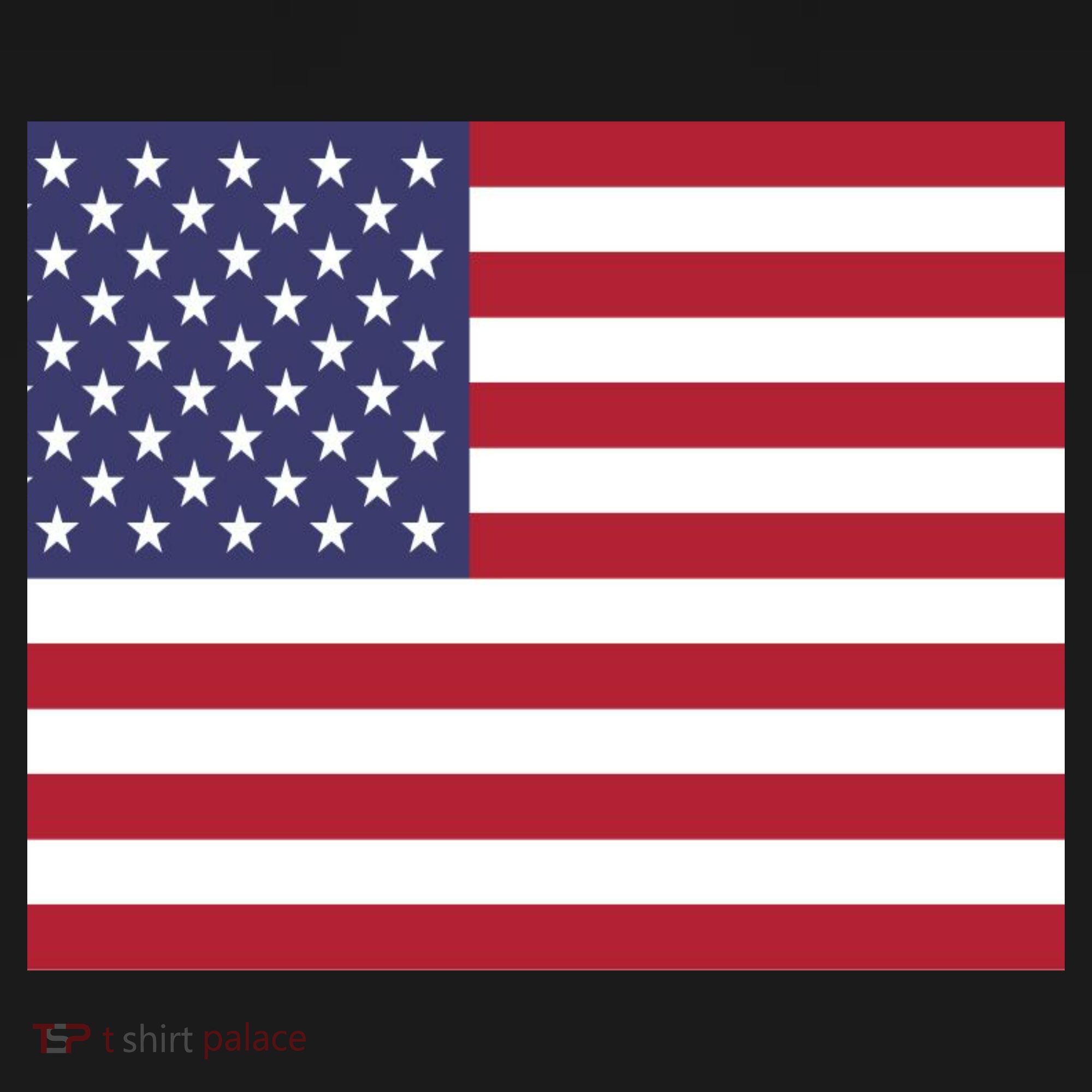 Flag of the United States USA American T-Shirt