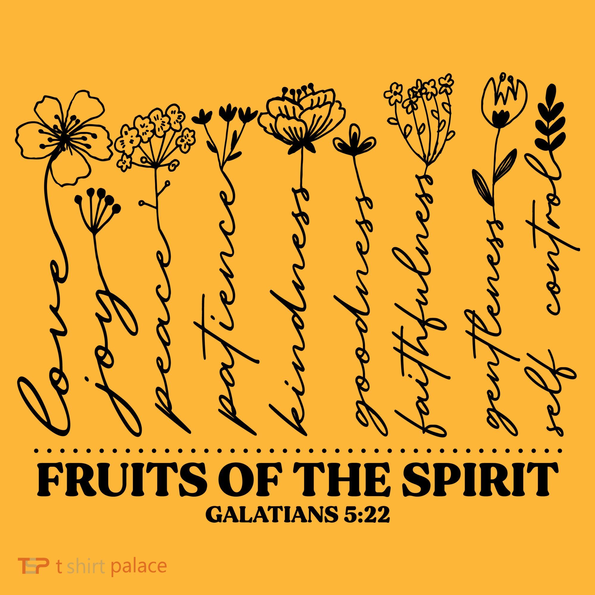 Fruits Of The Spirit Galatians 5:22 Visor