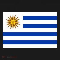 Flag Of Uruguay Proud Patriot Souvenir Patriotic National Gift Women's Hoodie thumb 2