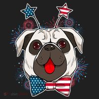 Fourth of July Fireworks Pug Dog Tumbler thumb 3