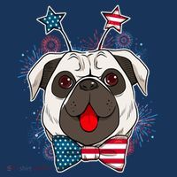 Fourth of July Fireworks Pug Dog Women's Hoodie thumb 2