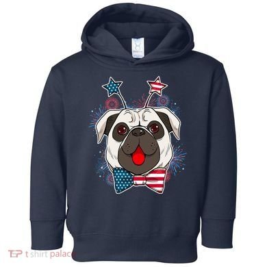 Fourth of July Fireworks Pug Dog Toddler Hoodie