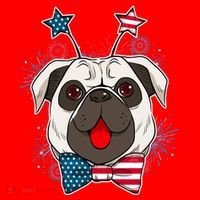 Fourth of July Fireworks Pug Dog Santa Hat thumb 1