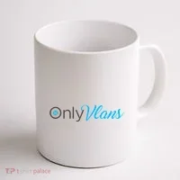 Funny Only Vlans Network Engineering Coffee Mug thumb 1