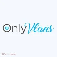 Funny Only Vlans Network Engineering Women's Hoodie thumb 2
