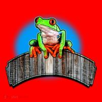 Frog On Wood Panel Santa Hat thumb 1