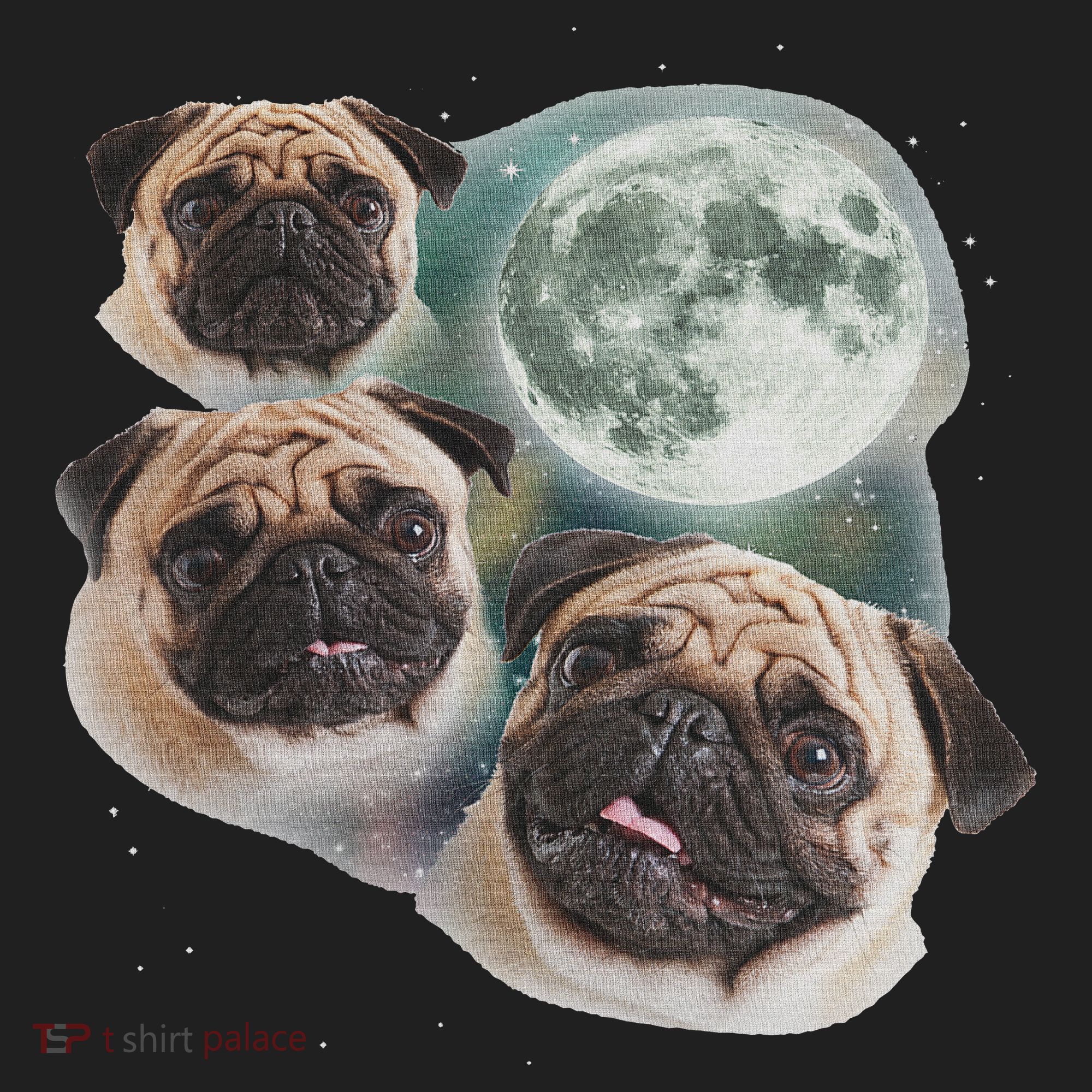 Funny Pug 3 Pug Moon Dog Lovers Three Space Canines Beanie