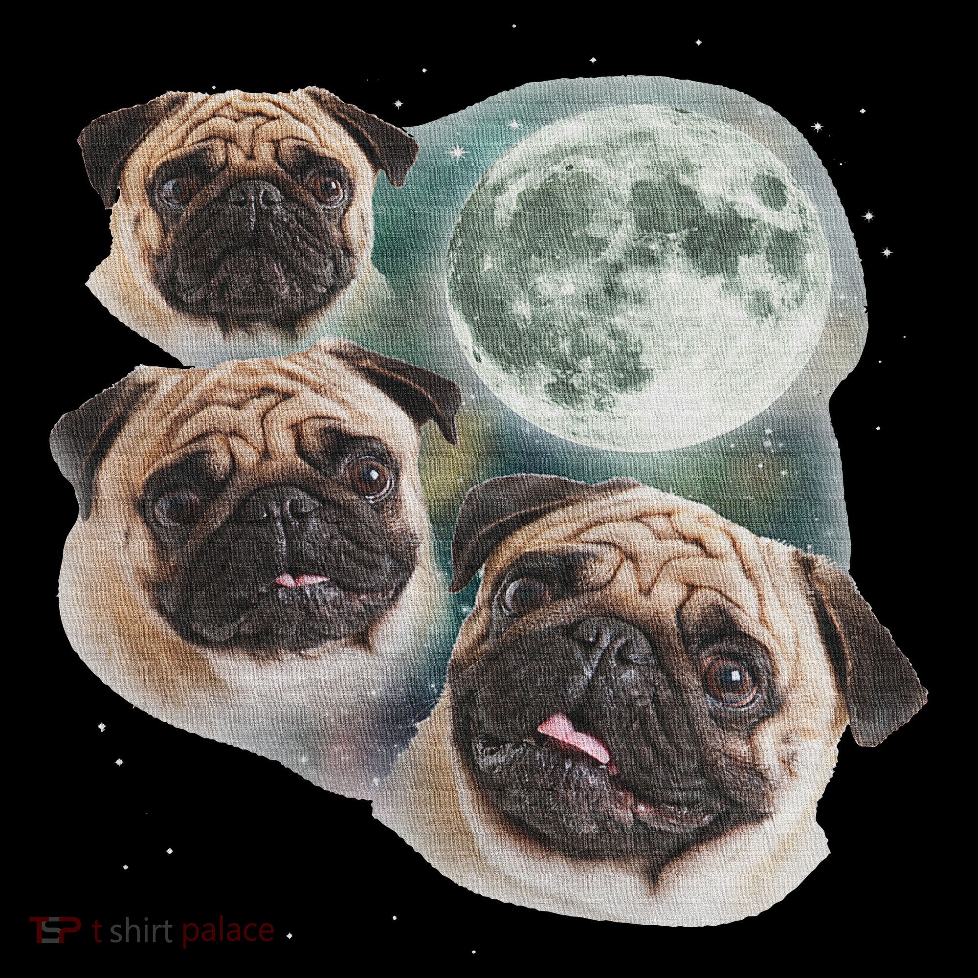 Funny Pug 3 Pug Moon Dog Lovers Three Space Canines Women's Hoodie
