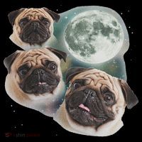 Funny Pug 3 Pug Moon Dog Lovers Three Space Canines Mousepad thumb 1