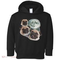 Funny Pug 3 Pug Moon Dog Lovers Three Space Canines Toddler Hoodie thumb 0