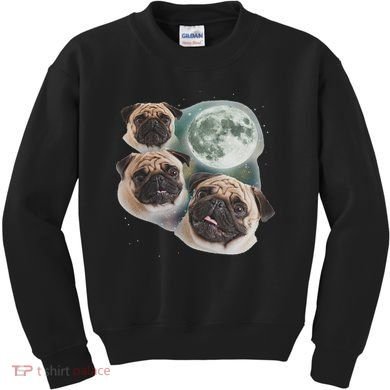 Funny Pug 3 Pug Moon Dog Lovers Three Space Canines Kids Sweatshirt