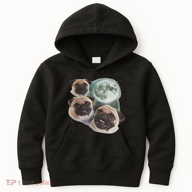 Funny Pug 3 Pug Moon Dog Lovers Three Space Canines Kids Hoodie