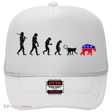 Funny Pro-Democrat Anti-Republican Devolution Hat