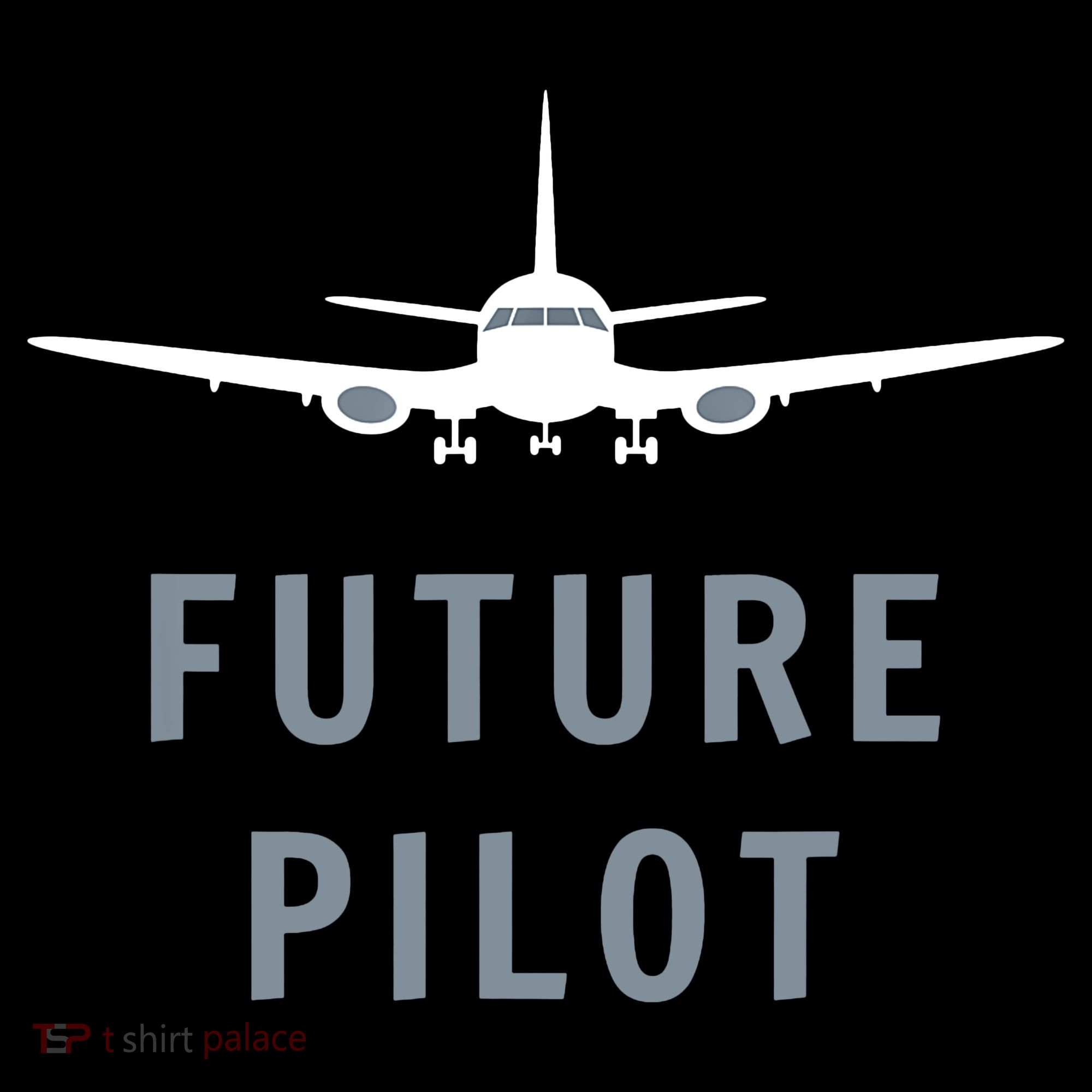 Future Pilot Aviation Airplane Toddler Hoodie