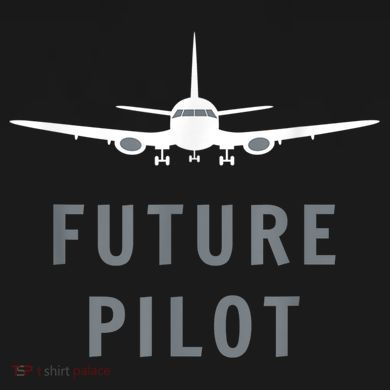 Future Pilot Airplane Pilot Aviation Gift Toddler Sweatshirt