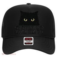 Funny Pay Attention To Me Ignoring You Black Cats Lovers Mom Hat thumb 0