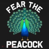 Funny Peacock Art For Women Colorful Peacock Bird Lover T-Shirt thumb 7