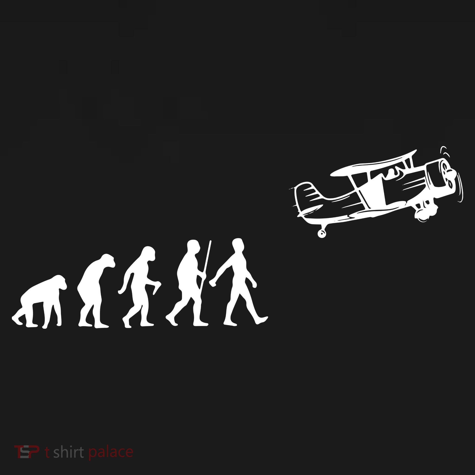 Funny Pilot Art For Men Women Airplane Pilot Aviation Lovers Ornament