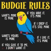 funny Parakeet Budgie Rules Bird Budgerigar Women's Sweatshirt thumb 2