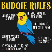 funny Parakeet Budgie Rules Bird Budgerigar Doggie Tank thumb 4