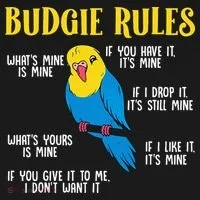 funny Parakeet Budgie Rules Bird Budgerigar Toddler Hoodie thumb 2
