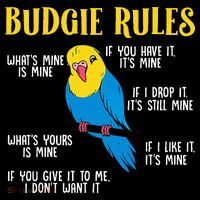 funny Parakeet Budgie Rules Bird Budgerigar Kids Long Sleeve Shirt thumb 2