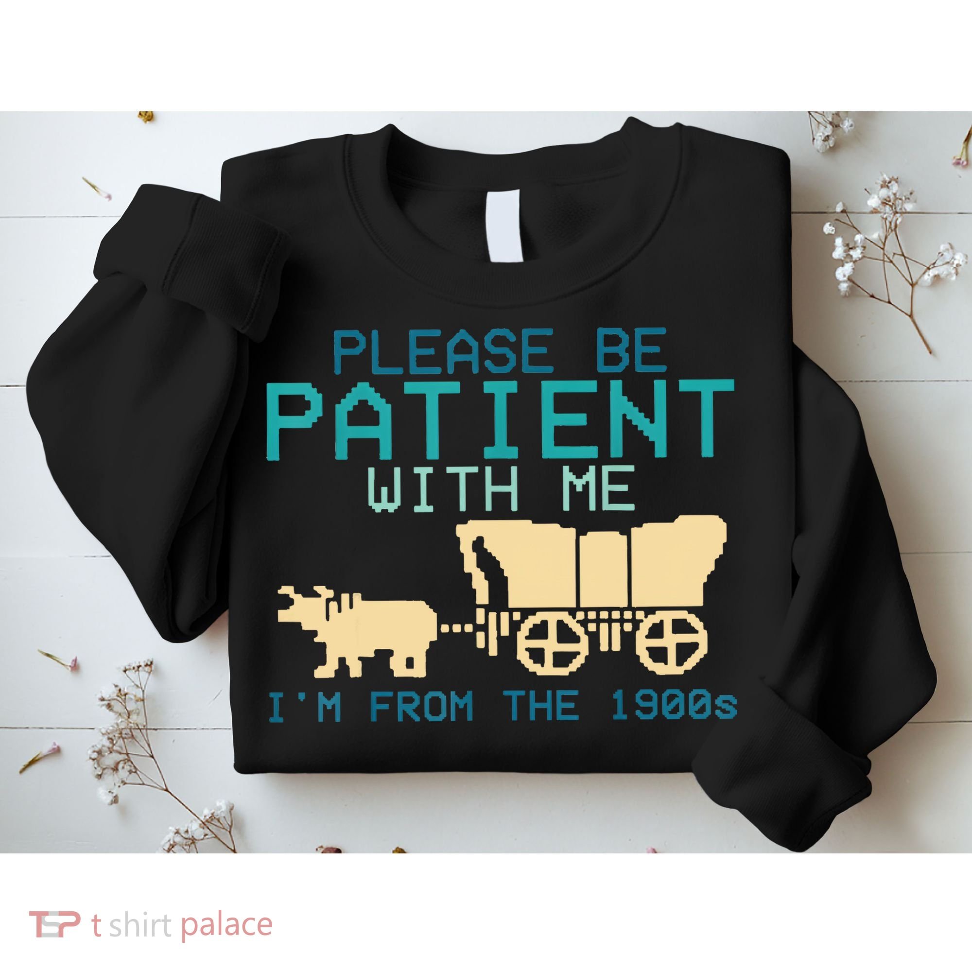 Funny Please Be Patient With Me IM From The 1900s Sweatshirt